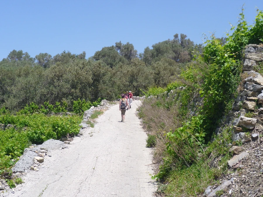 Groep wandelaars op een zonnig pad omgeven door groen en stenen muren op Samos.